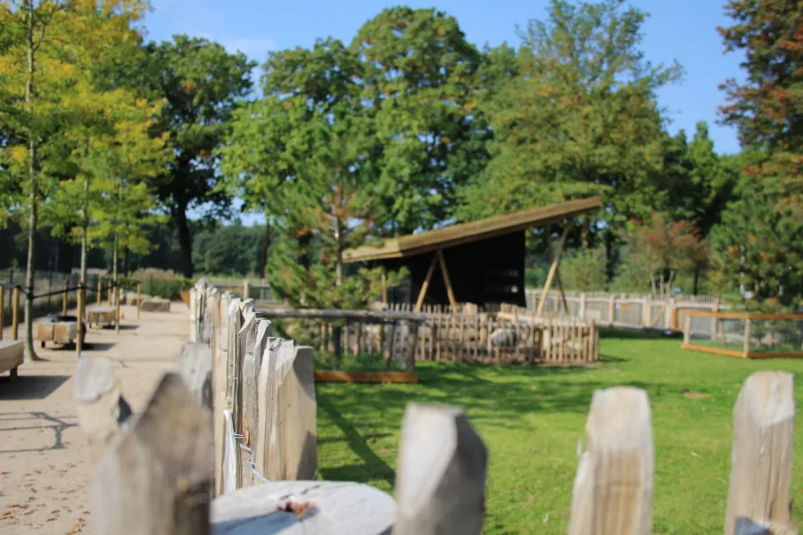 Kinderboerderij 2017 14