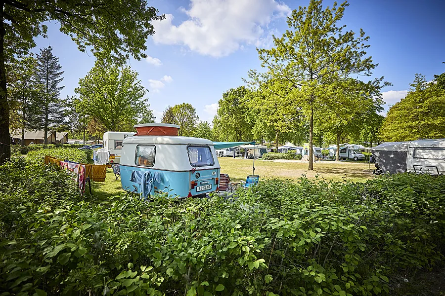 Camperauto basisveld