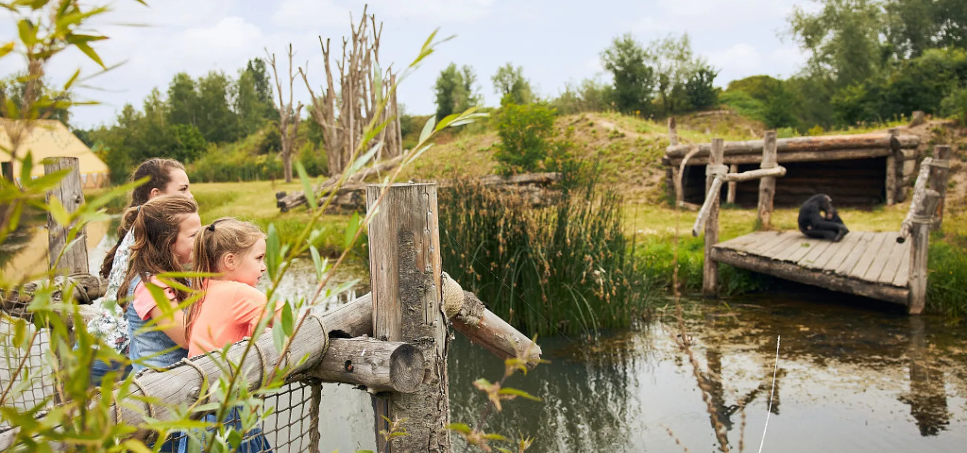 Dierenrijk Kinderen Kijken Chimpansee