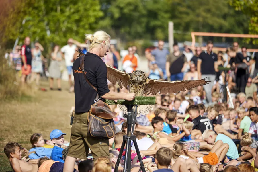 20220816 Ter Spegelt Roofvogel Show HR 3